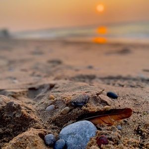 Meet your Posher, Pam